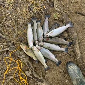 Meet your Posher, Gary